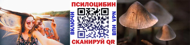 Купить закладки  Ртищево  Галлюциногенные грибы прущие грибы 